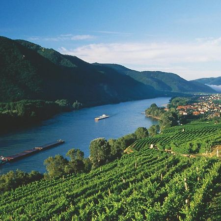 Apartament In Der Wachau Weissenkirchen in der Wachau Zewnętrze zdjęcie
